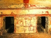 tarquinia - byk